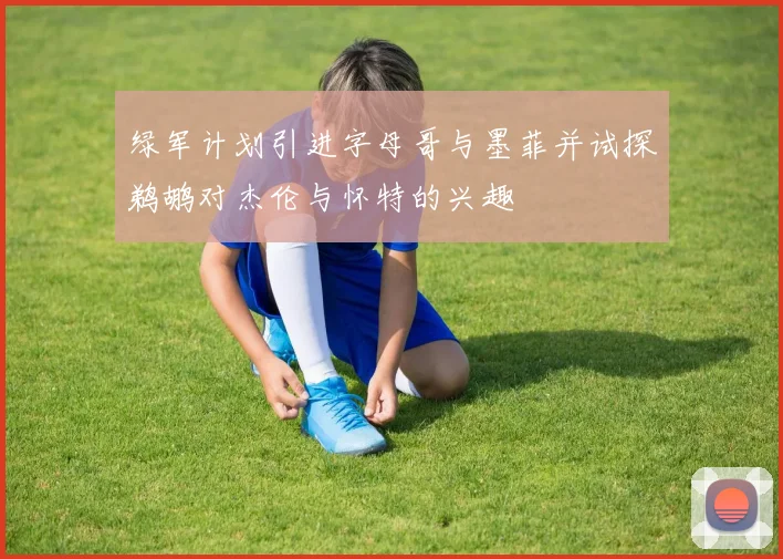 绿军计划引进字母哥与墨菲并试探鹈鹕对杰伦与怀特的兴趣